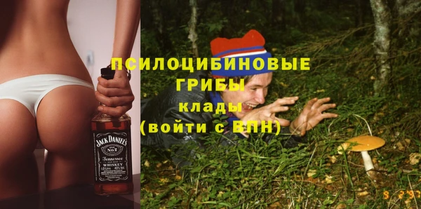 стафф Алзамай