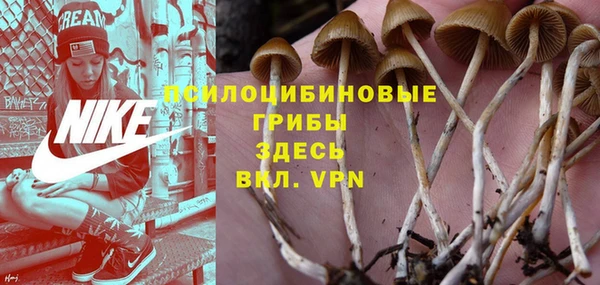 марки nbome Ельня
