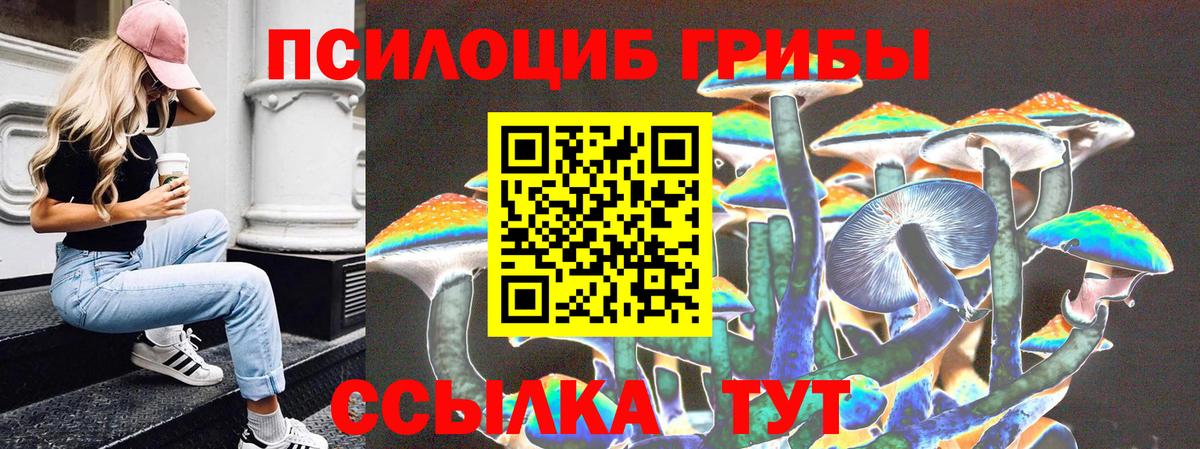 Галлюциногенные грибы MAGIC MUSHROOMS Заволжье