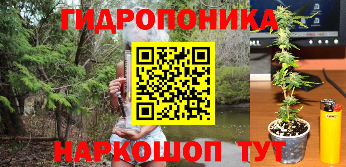 Конопля индика  Вход с VPN  Бошки Шишки AK-47  Бошки марихуана планчик  Заволжье 